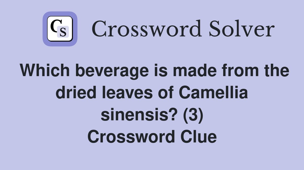 Which beverage is made from the dried leaves of Camellia sinensis? (3) Crossword Clue Answers
